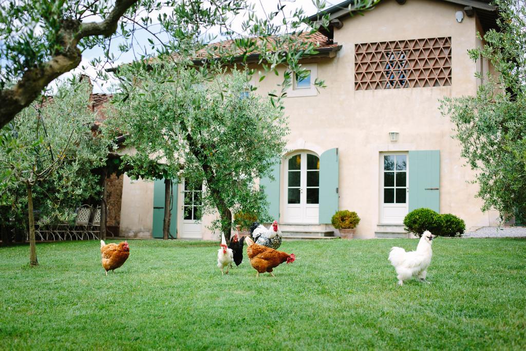 הוילה קמאיורה Agriturismo Mareli מראה חיצוני תמונה